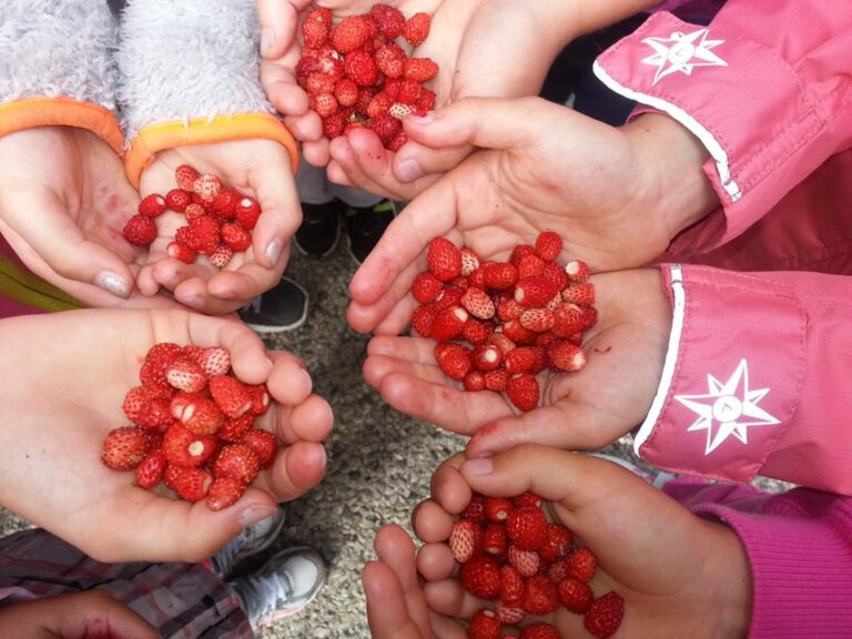 999326 274408682703122 87779356 n